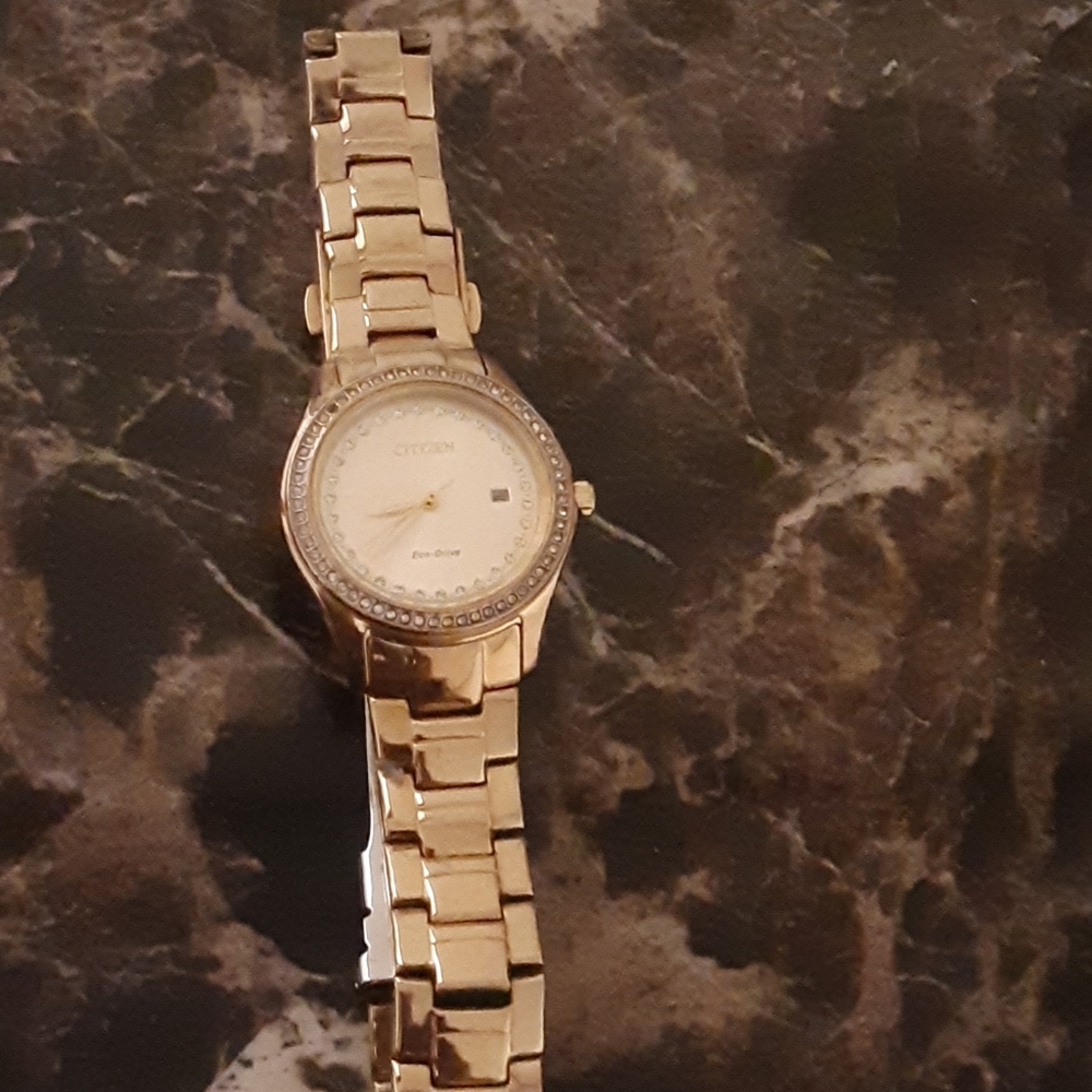 Citizen 1 karat watch